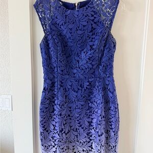 Adelyn Rae Vibrant Cobalt Lace Midi Dress